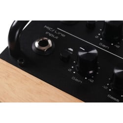 Tiny Box D2 - Oak
