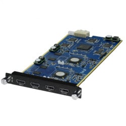 Input Option 190-0002-11-0 