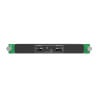 MX_1x2110(25G) input card