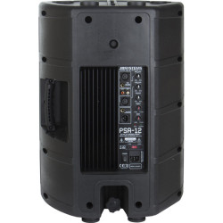 PSA-12 