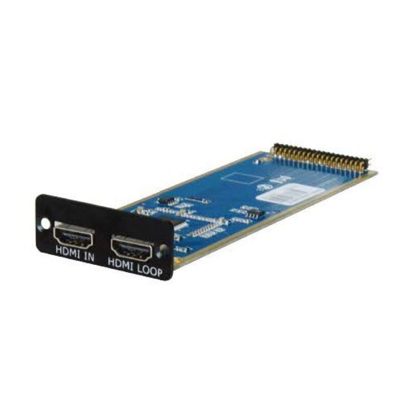 Input Option 190-0001-06-1 