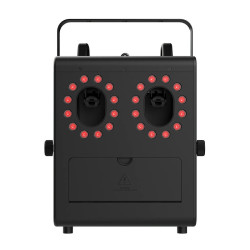 D-WP2