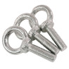 Eye Bolt 10 mm  