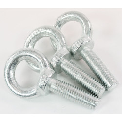 Eye Bolt 10 mm  