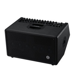 T2+ - Black
