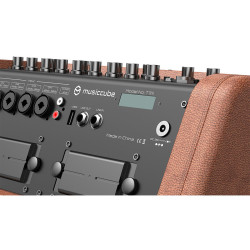 T3II - Brown