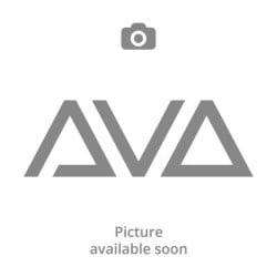 AI Q3 server Dual DVI capture