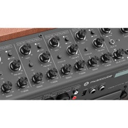 T3II - Brown