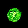 tarm BLAZE Moving Head tarm BLAZE Moving Head
