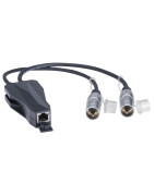 Audio Network e DSP