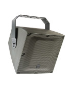 100V Subwoofer